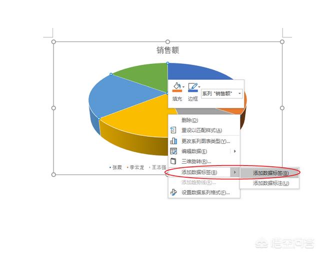 怎样在word文档中制作饼状图？