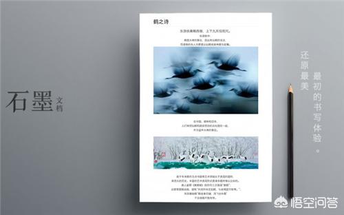 作为一个职场人，电脑上必备哪些软件？