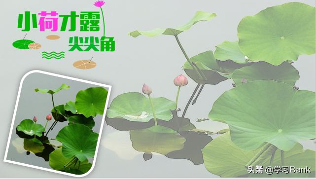 PPT特效制作案例：艺术图片画中画的封面效果
