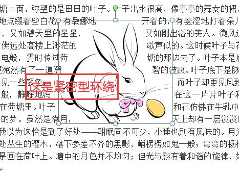 word如何图文混排（word图文混排的操作方法技巧）