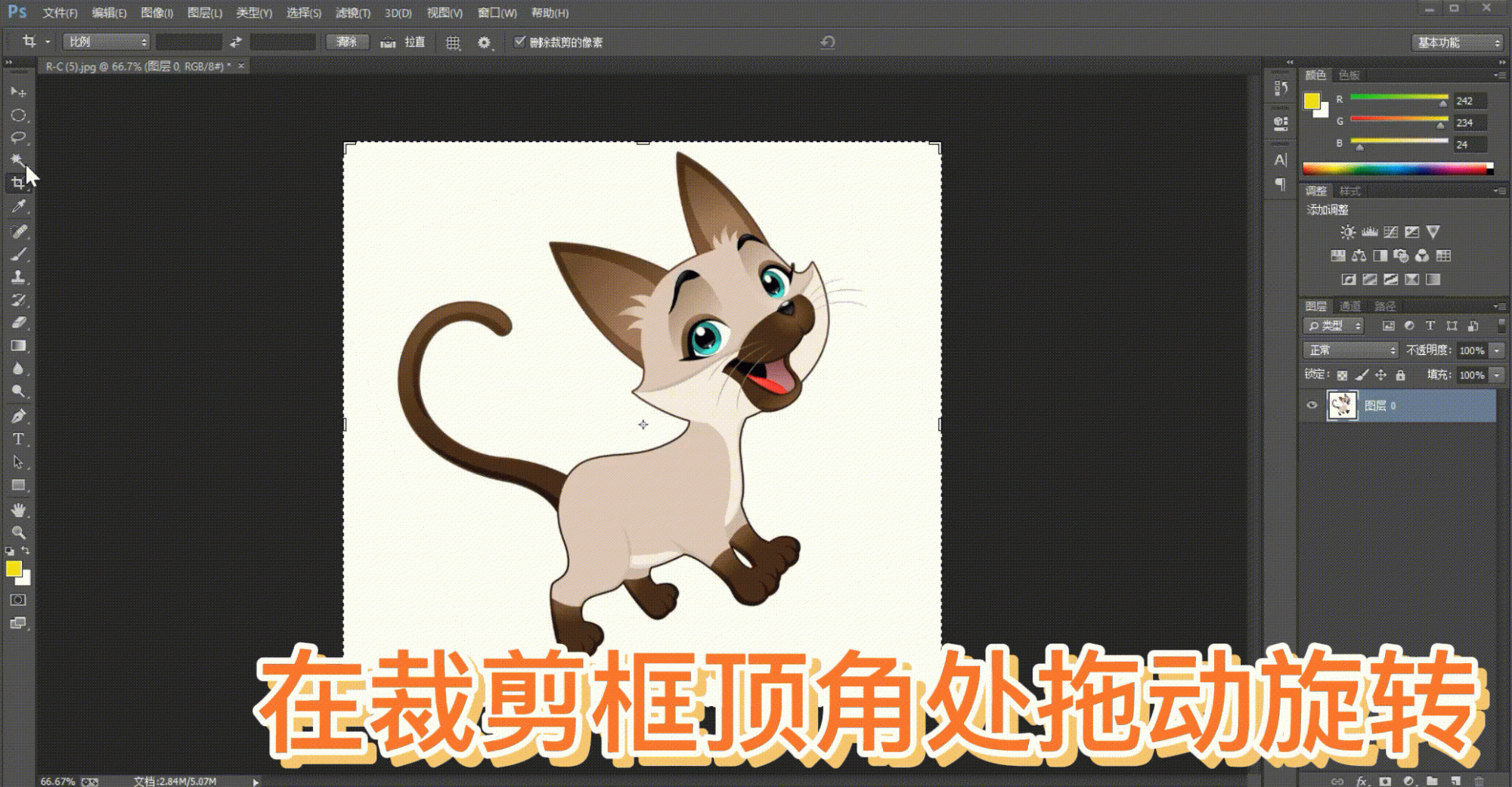 ps中如何使用裁剪工具？