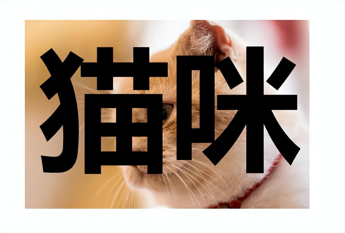 ppt怎么组合图形和文本框（ppt中合并形状技巧）