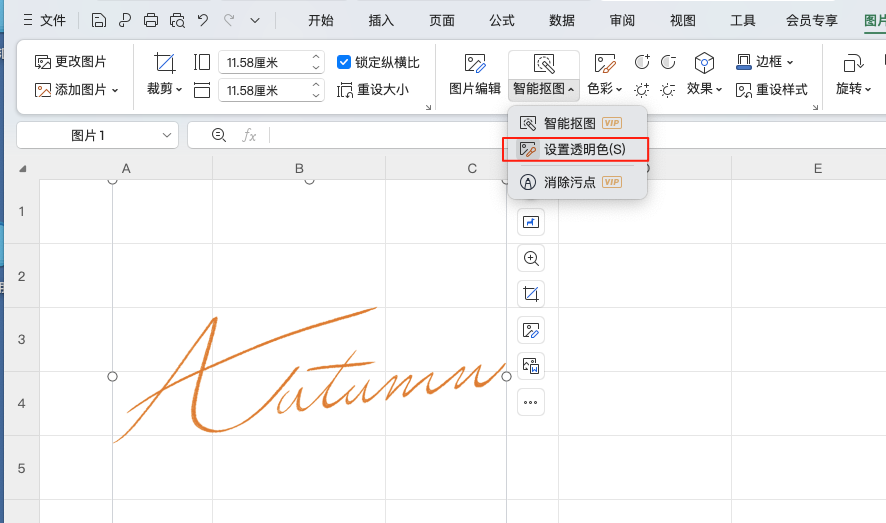 Excel透明签名教程,让你的表格更专业-天天办公网