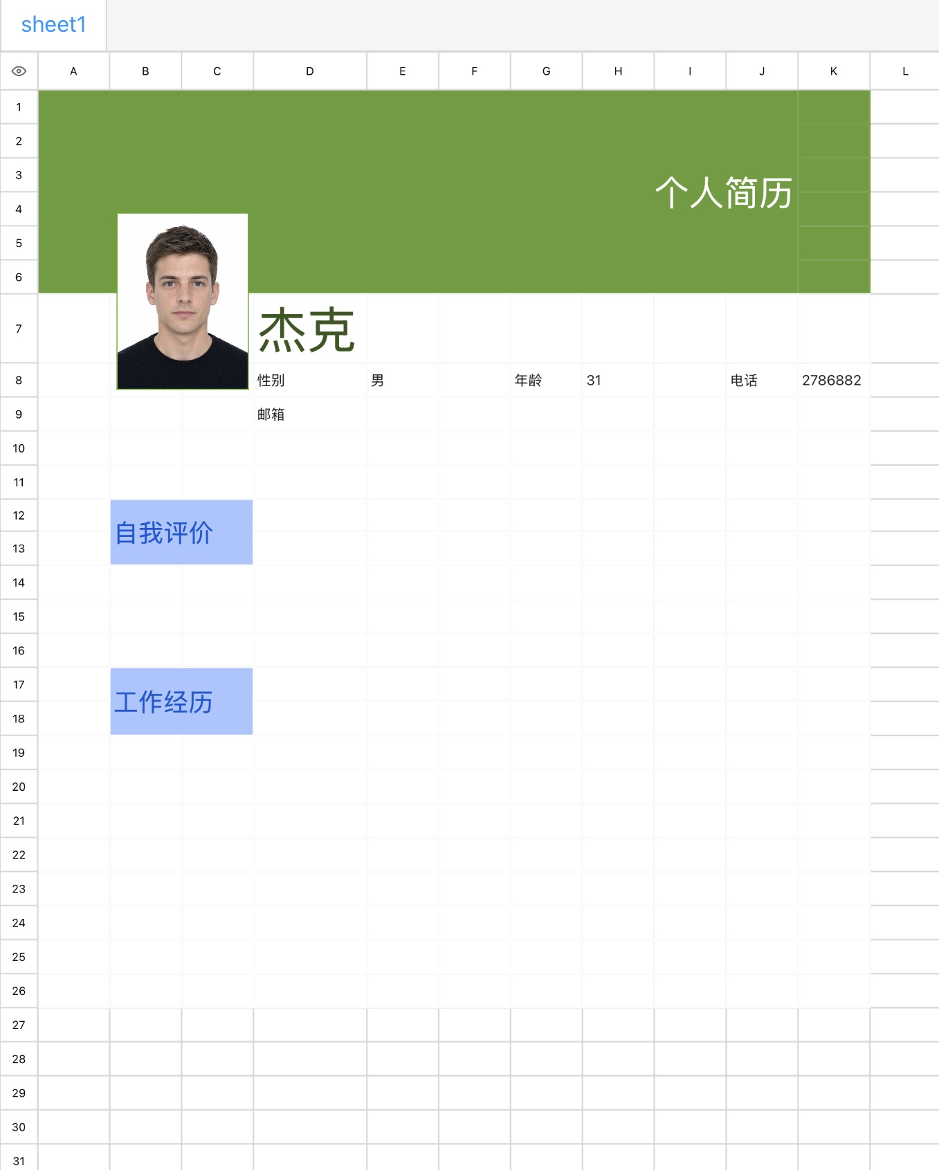 excel个人简历模版大全:5款实用简历模板推荐-天天办公网